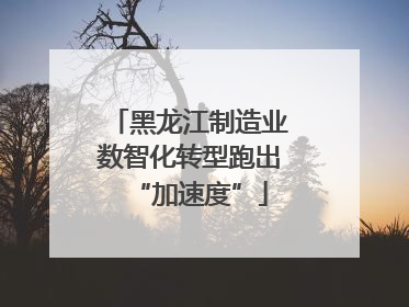 黑龙江制造业数智化转型跑出“加速度”