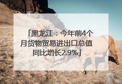 黑龙江：今年前4个月货物贸易进出口总值同比增长2.9%