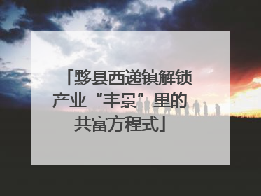 黟县西递镇解锁产业“丰景”里的共富方程式