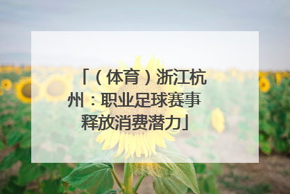 （体育）浙江杭州：职业足球赛事释放消费潜力
