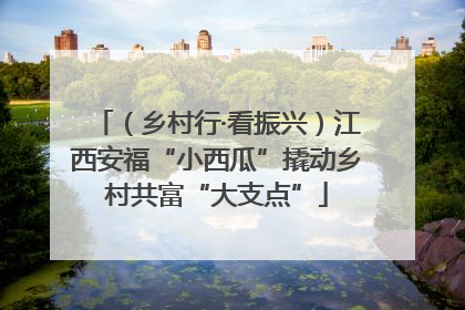 （乡村行·看振兴）江西安福“小西瓜”撬动乡村共富“大支点”
