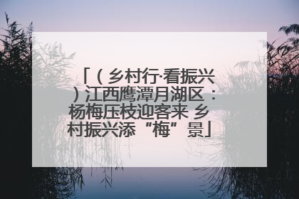 （乡村行·看振兴）江西鹰潭月湖区：杨梅压枝迎客来 乡村振兴添“梅”景