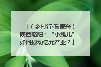 （乡村行·看振兴）陕西略阳：“小瓢儿”如何撬动亿元产业？