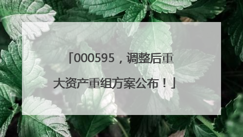 000595，调整后重大资产重组方案公布！