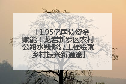 1.95亿国债资金赋能！龙岩新罗区农村公路水毁修复工程绘就乡村振兴新通途