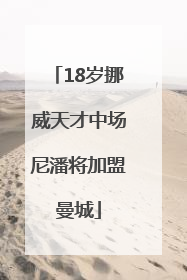 18岁挪威天才中场尼潘将加盟曼城