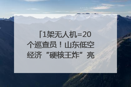 1架无人机=20个巡查员！山东低空经济“硬核王炸”亮相青岛，下一个万亿赛道藏在这里