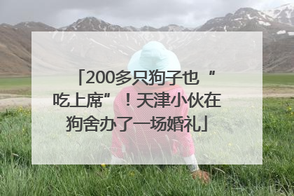 200多只狗子也“吃上席”！天津小伙在狗舍办了一场婚礼
