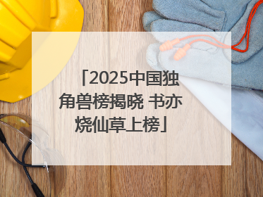 2025中国独角兽榜揭晓 书亦烧仙草上榜
