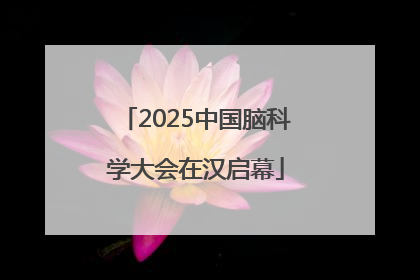 2025中国脑科学大会在汉启幕