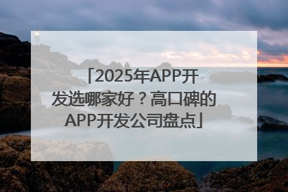2025年APP开发选哪家好？高口碑的APP开发公司盘点