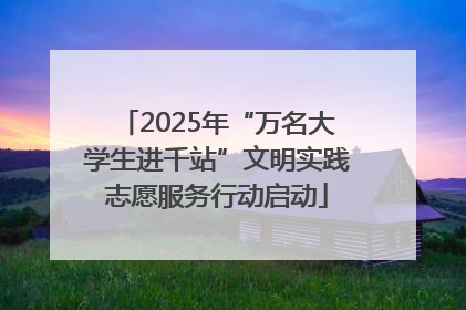 2025年“万名大学生进千站”文明实践志愿服务行动启动