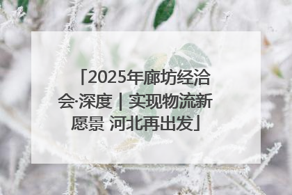 2025年廊坊经洽会·深度｜实现物流新愿景 河北再出发