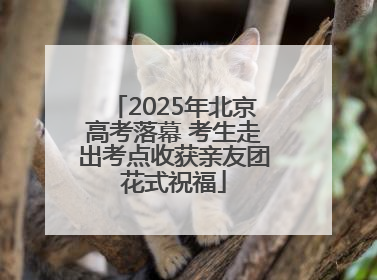 2025年北京高考落幕 考生走出考点收获亲友团花式祝福