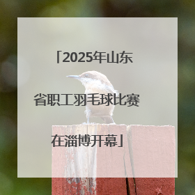 2025年山东省职工羽毛球比赛在淄博开幕