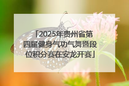2025年贵州省第四届健身气功气舞暨段位积分赛在安龙开赛