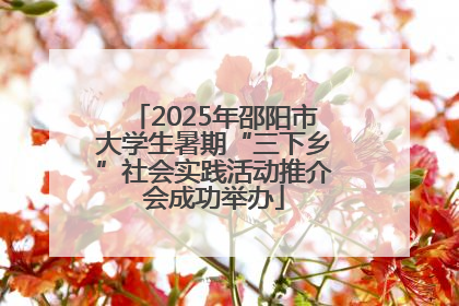 2025年邵阳市大学生暑期“三下乡”社会实践活动推介会成功举办