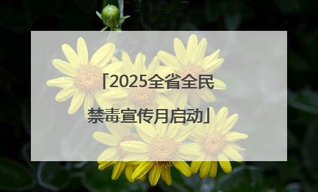 2025全省全民禁毒宣传月启动