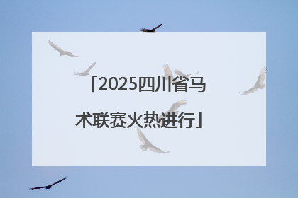 2025四川省马术联赛火热进行