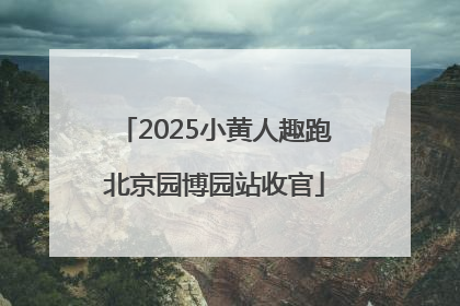 2025小黄人趣跑北京园博园站收官