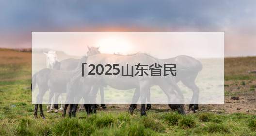 2025山东省民族武术邀请赛举办 冠县查拳代表团勇夺三金二银一铜