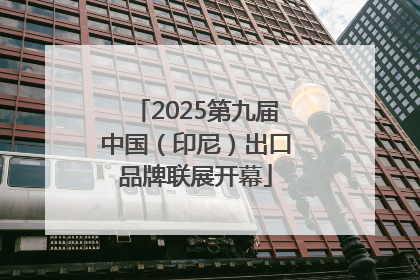 2025第九届中国（印尼）出口品牌联展开幕