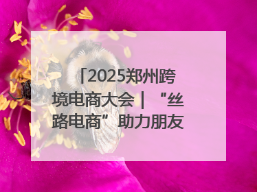 2025郑州跨境电商大会｜“丝路电商”助力朋友圈再扩容