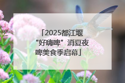 2025都江堰“好嗨啤”消夏夜啤美食季启幕