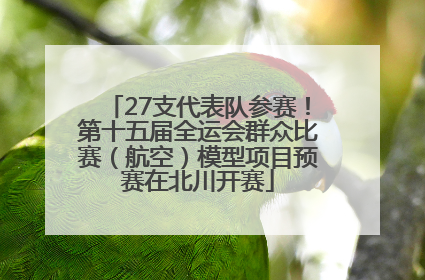 27支代表队参赛！第十五届全运会群众比赛（航空）模型项目预赛在北川开赛