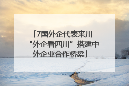 7国外企代表来川 “外企看四川”搭建中外企业合作桥梁