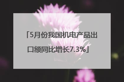 5月份我国机电产品出口额同比增长7.3%
