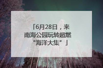 6月28日，来南海公园玩转超燃 “海洋大集”