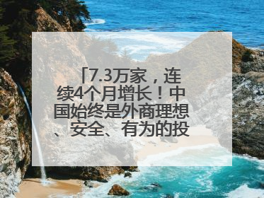 7.3万家，连续4个月增长！中国始终是外商理想、安全、有为的投资目的地