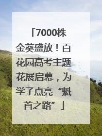 7000株金葵盛放！百花园高考主题花展启幕，为学子点亮“魁首之路”