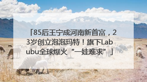85后王宁成河南新首富，23岁创立泡泡玛特！旗下Labubu全球爆火“一娃难求”