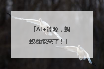 AI+能源，蚂蚁鑫能来了！
