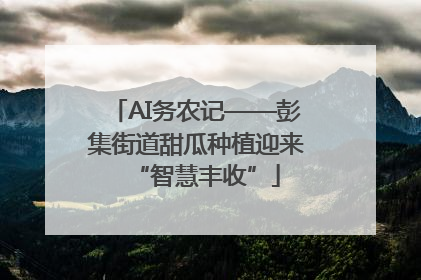 AI务农记——彭集街道甜瓜种植迎来“智慧丰收”