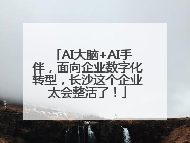 AI大脑+AI手伴，面向企业数字化转型，长沙这个企业太会整活了！