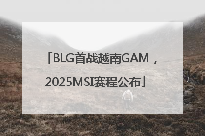 BLG首战越南GAM，2025MSI赛程公布
