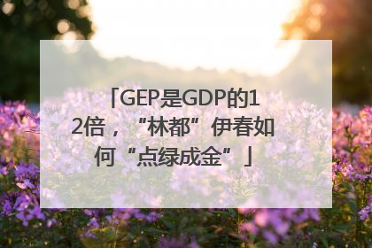 GEP是GDP的12倍，“林都”伊春如何“点绿成金”