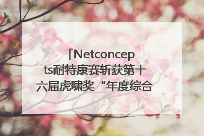 Netconcepts耐特康赛斩获第十六届虎啸奖“年度综合服务商”大奖