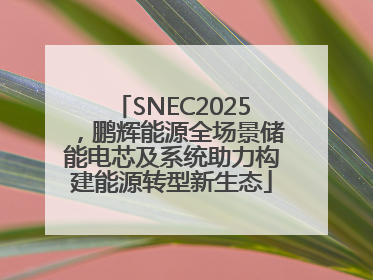 SNEC2025，鹏辉能源全场景储能电芯及系统助力构建能源转型新生态